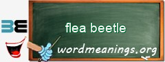 WordMeaning blackboard for flea beetle